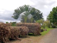 Diaporama du Domaine de Séverin en guadeloupe.
